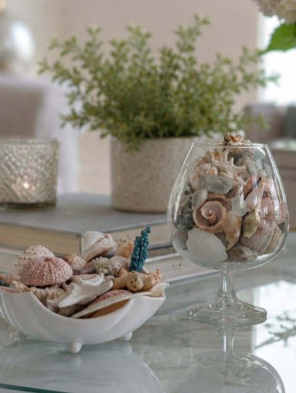 Coastal Seashell Decor Set | Shell Dish & Glass Snifter Filled w/Natural Sea Art